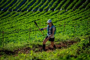 BIB: 
                            <button type="button" onclick="openModal(19160718)" class="btn btn-primary btn-sm float-right btn-popup" data-toggle="modal" data-target=".modal-high-quality">
                        <i class="fas fa-shopping-cart"></i> Add to Cart
                    </button>
                                            <button type="button" onclick="isThisMe(19160718, true)" class="btn btn-success btn-sm float-right btn-popup btn-isme hidden" data-toggle="tooltip" data-placement="bottom" title="นี่คือรูปของคุณใช่ไหม คลิกที่นี่เพื่อเอาเข้าอัลบั้ม">
                        <i class="fas fa-plus"></i> Add to album
                    </button>
                    <button type="button" onclick="isThisMe(19160718, false)" class="btn btn-warning btn-sm float-right btn-popup btn-isnotme hidden">
                        <i class="fas fa-ban"></i> Remove from album
                    </button>